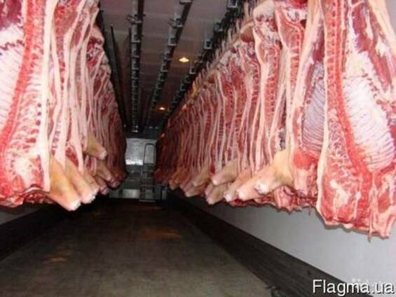 Продам Полутуши свиные, говяжи, кони