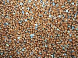 Продам просо красное, просо желтое, сорго красное