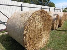 Продам пшеничну солому в тюках врожаю 2025 року.