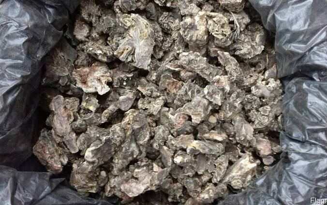 Продам Родиола розовая Золотой корень