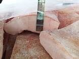 Продам сало Іберіка - фото 3