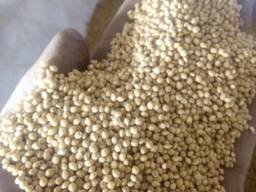 Продам семена белого и желтого проса. Суперэлита.