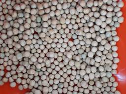 Продам семена гороха зимующего