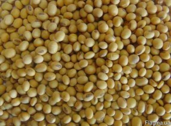 Продам семена сои Monsanto Apollo под раундап