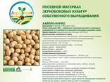 Продам семена сои под раундап - Хайпро 1 р. (90-95 дней)