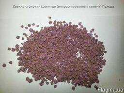 Продам семена свеклы столовой красной в ассортименте опт и р