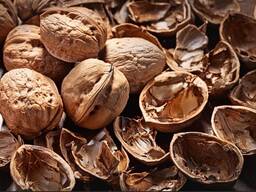 Продам шкаралупу