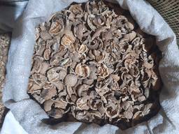 Продам скорлупу грецкого ореха