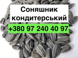 Продам соняшник кондитерський