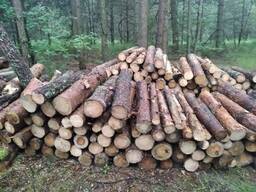 Продам соснові дрова/ Дрова соснові