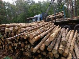 Продам сосновые дрова 4 метра