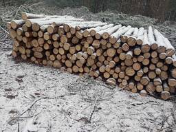 Продам сосну свіжопил 1500