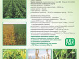 Продам сою без ГМО - Арника 1 р. (83-85 дней)