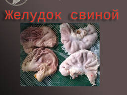 Продам свиные желудки