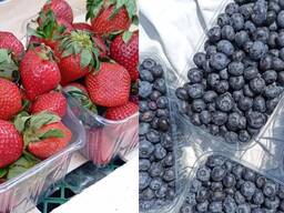 Продам свіжу полуницю та лохину