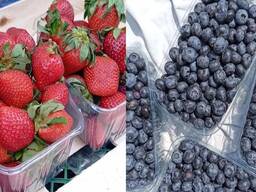 Продам свіжу полуницю та лохину.