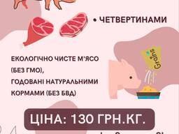 Продам свиней