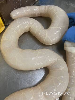 Продам синюги яловичі