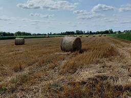 Продам тюки соломи , круглі