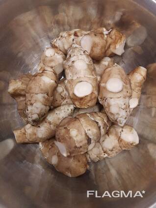 Продам топінамбур "земляну грушу"