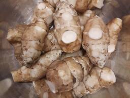 Продам топінамбур земляну грушу