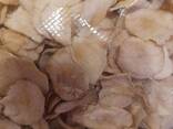 Продам топінамбур "земляну грушу" - фото 5