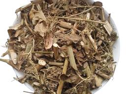 Продам траву бедренця Pimpinella saxifraga