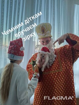 Продам цуценят померанського шпіца