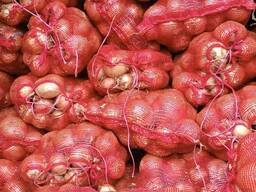 Продам цибулю, калібр 5-7, оптом великі об‘єми