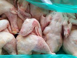 Продам тушку курячу заморожену
