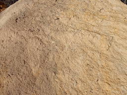 Продам тырсу постоянно много