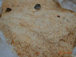 Продам Тырсу Сосновую