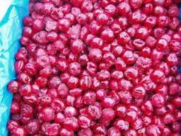 Продам вишню садовую без косточек