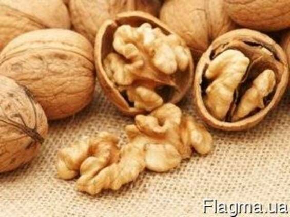 Продам волоський ( грецький) горіх оптом экспорт. Walnut