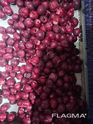 Продам вишня шокова заморозка б/к