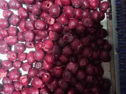 Продам вишня шокова заморозка б/к