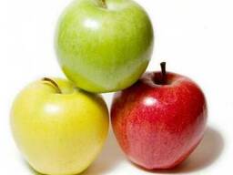 Продам яблока