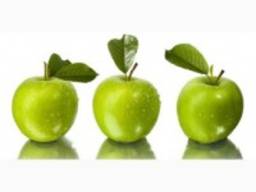 Продам яблоко на переработку. От 20 тонн!