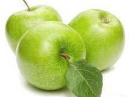 Продам яблука від виробника