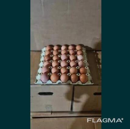 Продам яйце фермерське