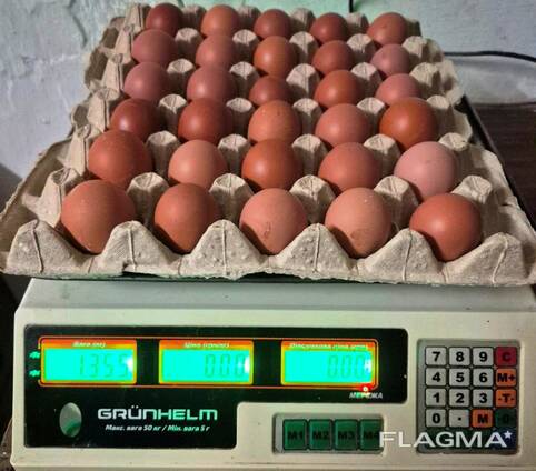 Продам яйце столове категорії S