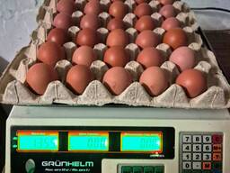 Продам яйце столове категорії S