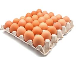 Продам яйце столове оптом