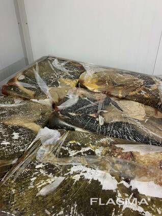 Продам яловичий рубець (говяжий рубец)