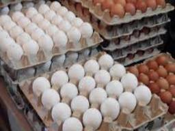 Продам яйцо куриное, C0, C1, C2, мелким оптом.