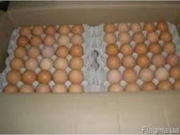 Продам яйцо куриное, C0, C1, C2, мелким оптом от 10-100 ящик