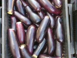 Продам замороженный баклажан. Мелкий/крупный ОПТ