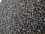 Продам заморожену чорну смородину - фото 2