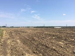 Продам земелю паи 2 в Днепропетровском районе