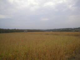 Продам землю 12га. Будинок склад полив води